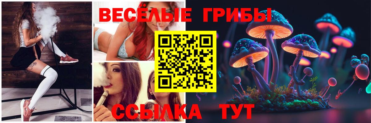 Псилоцибиновые грибы Psilocybe  Вход с VPN  Галлюциногенные грибы Psilocybine cubensis  Гулькевичи 
